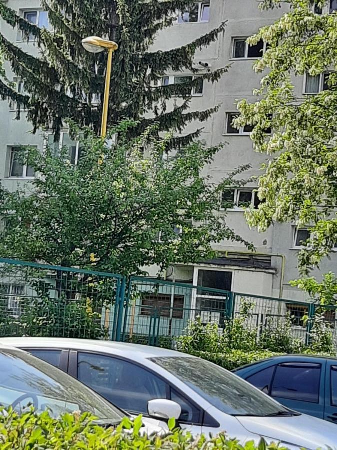 Home Uranus Braşov Esterno foto